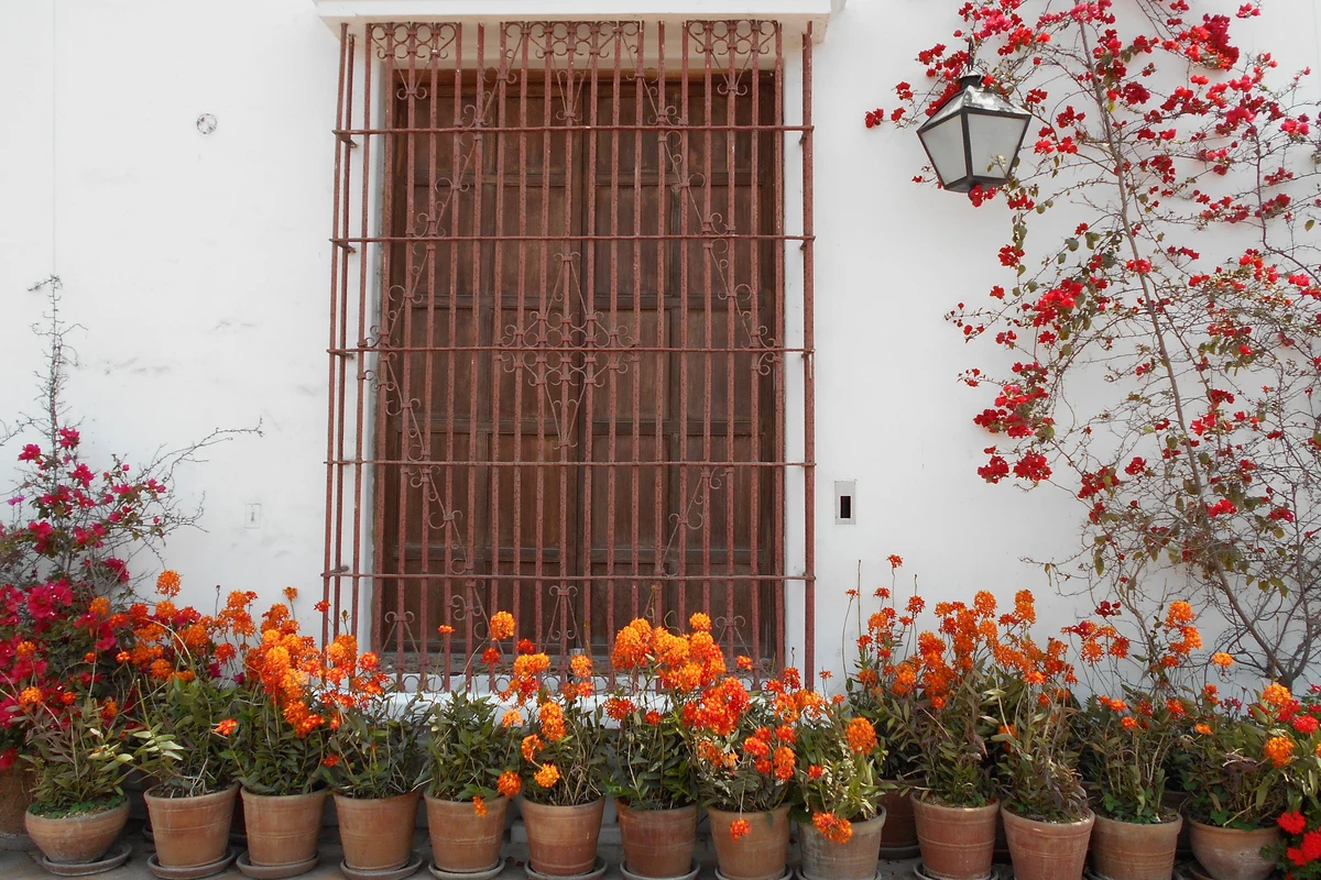En hvidkalket mur med smedejernsvindue og terrakottapotter med blomster, repræsentativ for en peruviansk hacienda-gård